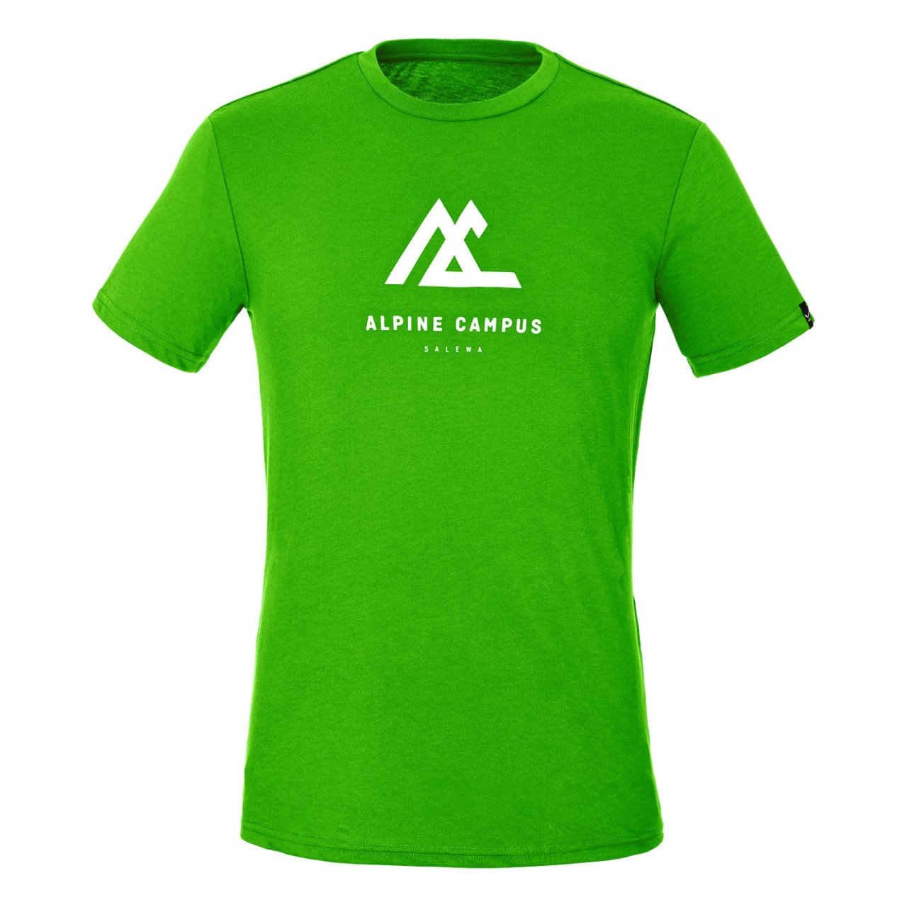 Camisetas Salewa Geometric Dry Short Sleeve Hombre Verdes Mexico (JQ0691724)